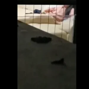 Quay lén em ghệ phòng bên đang nứng tự tự sướng cực phê